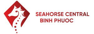 The SeaHorse Central Binh Phuoc